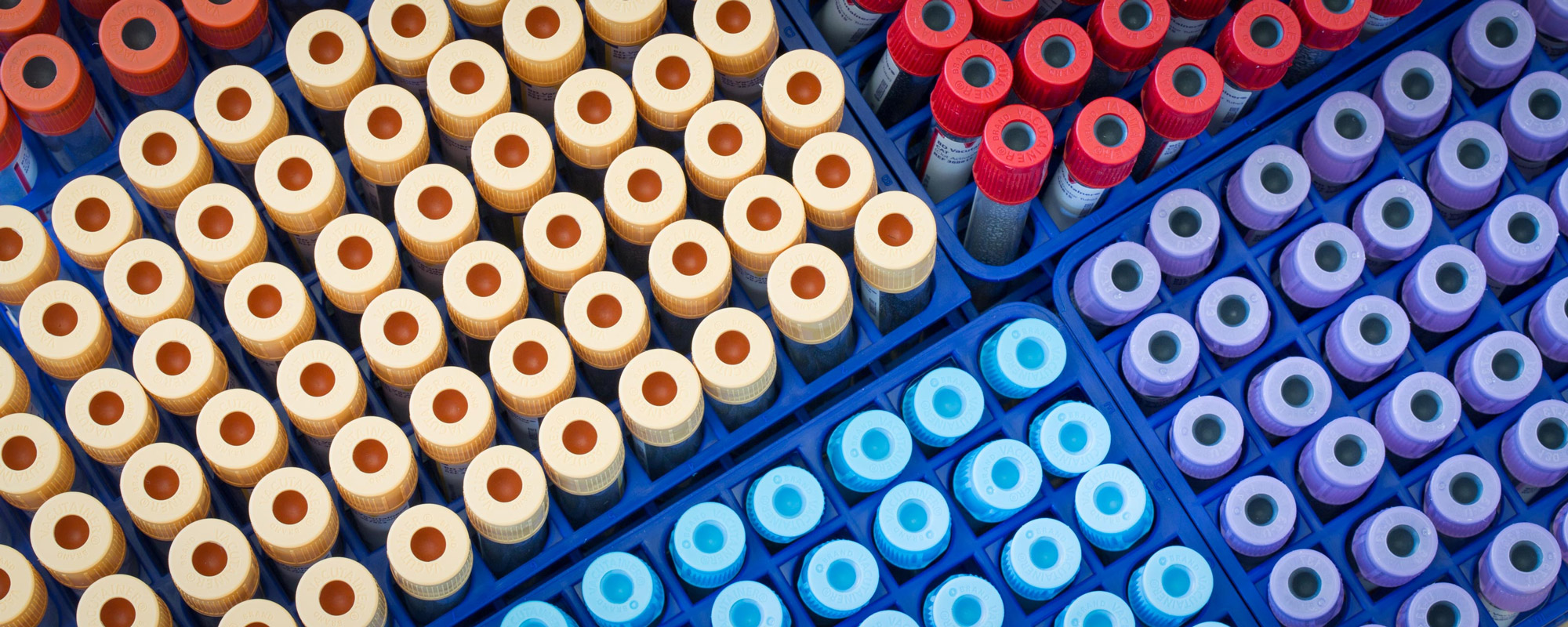 Blood collection solutions