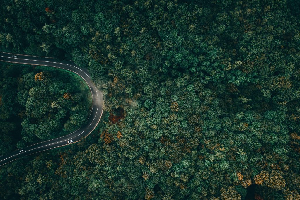 Drone shot above a street with driving cars through a forest