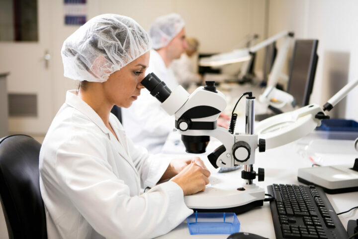 Patenting of sustainable cellulose-based fillers