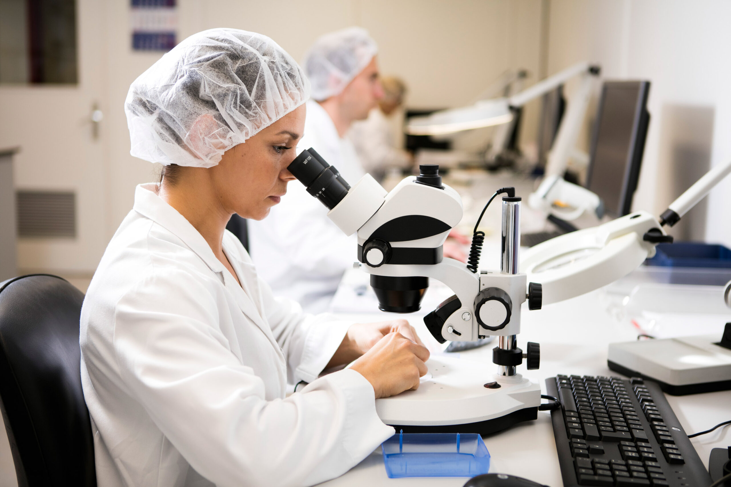 Patenting of sustainable cellulose-based fillers